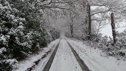 Winter Lane